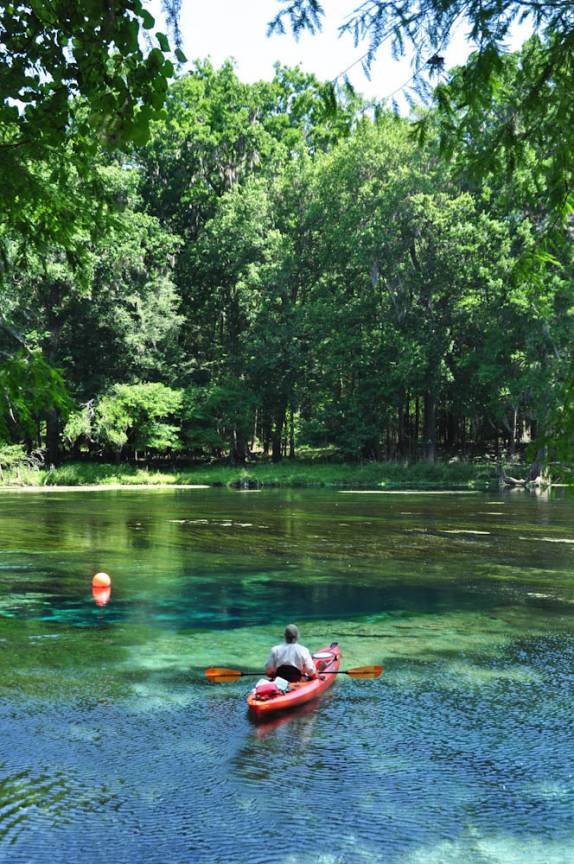 As águas transparentes de Ginnie Springs, na Flórida, nos Estados Unidos